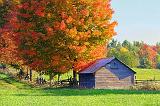 Autumn Barn_28850
